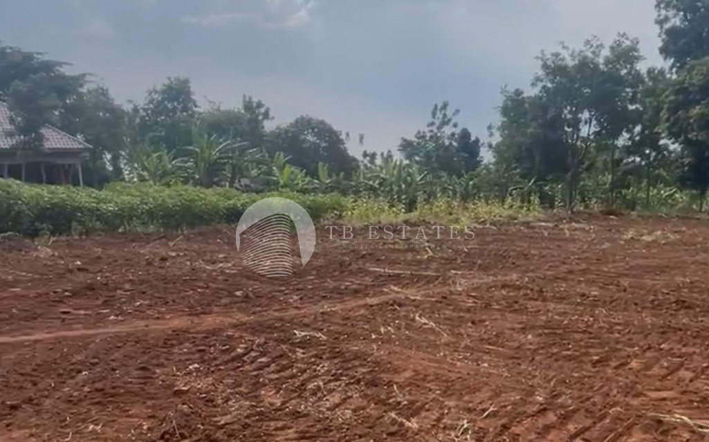 Busiika-Koko-Estate01