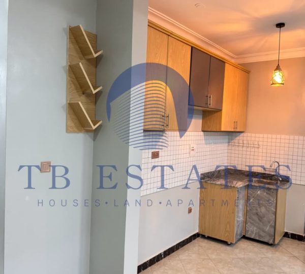 1 Bedroom Condominium -TB Estate15